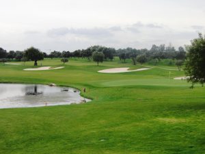 Quinta_da_Cima_16