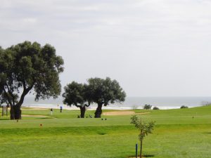 Quinta_da_ria