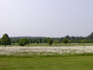 GC Unna-Fröndenberg 003