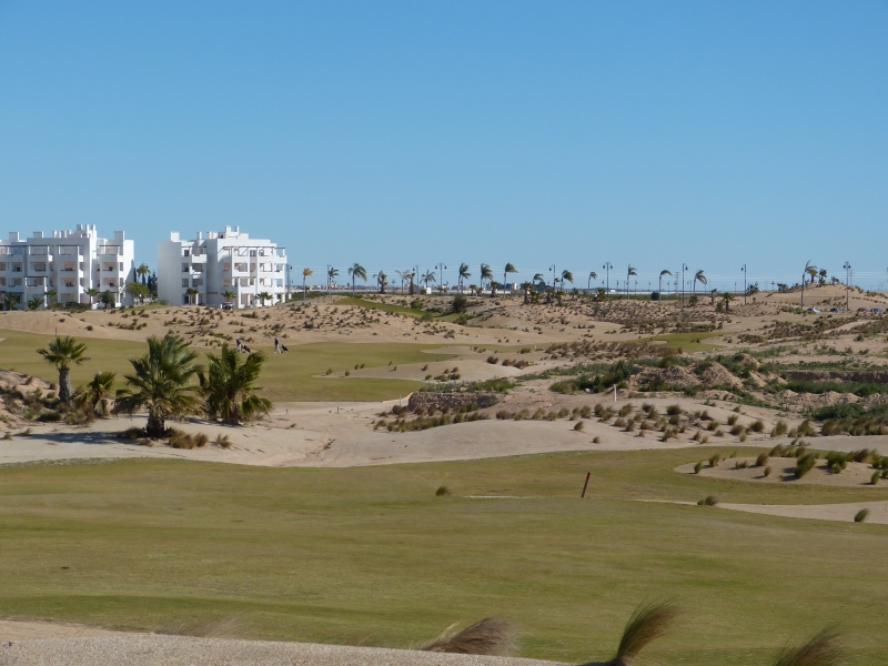 2013-03_Spanien_Saurines 010