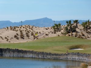 2013-03_Spanien_Saurines 030