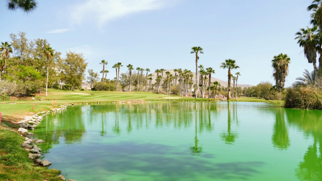 Teneriffa - Golf Las Americas