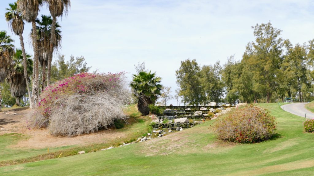 Teneriffa - Golf Las Americas